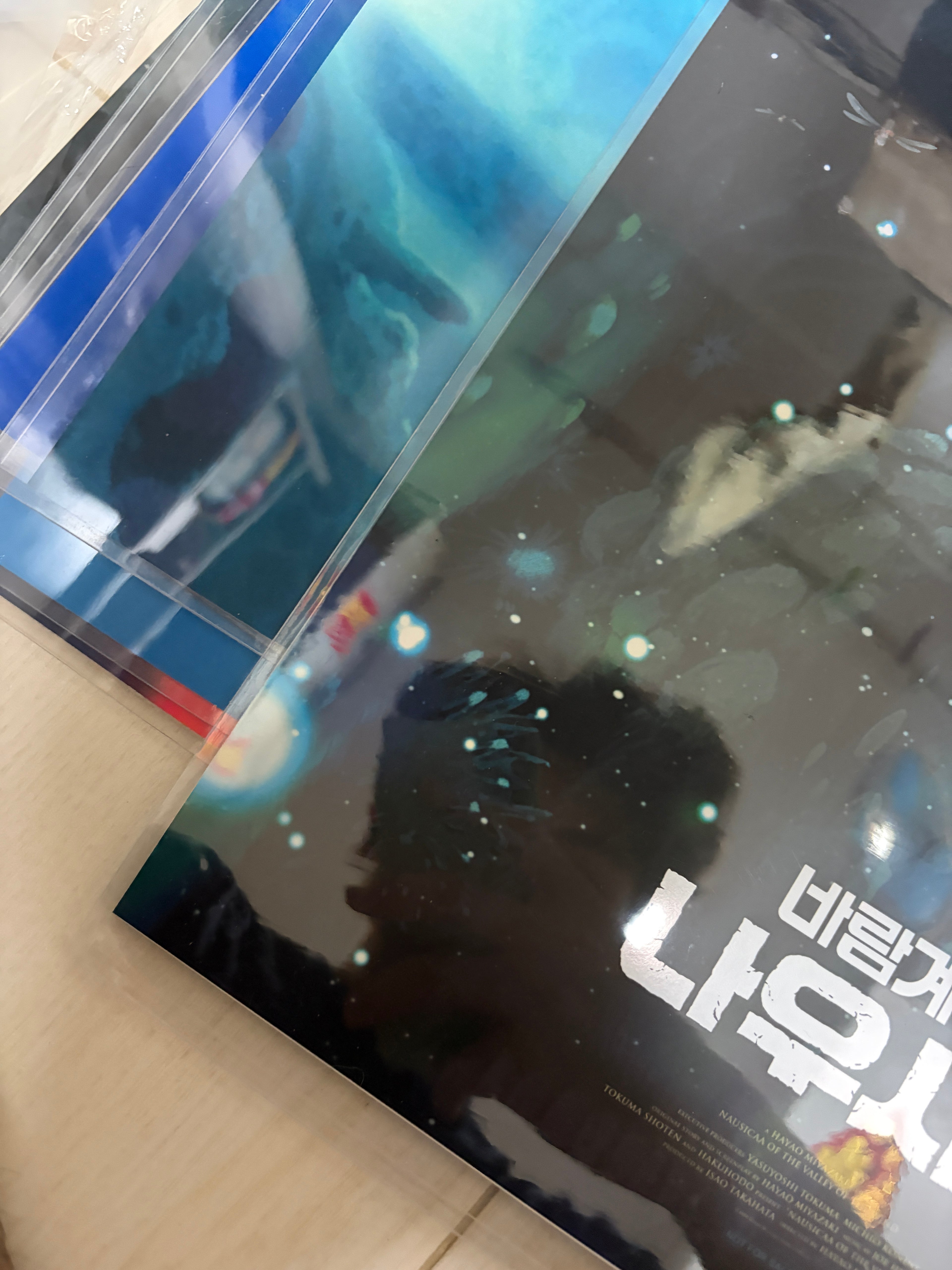 電影：風之谷 藝術套